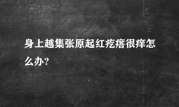身上越集张原起红疙瘩很痒怎么办?