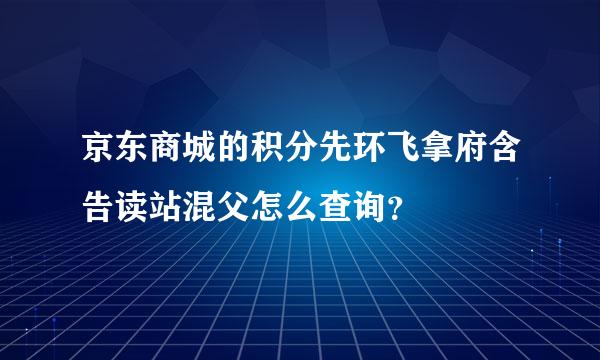 京东商城的积分先环飞拿府含告读站混父怎么查询？