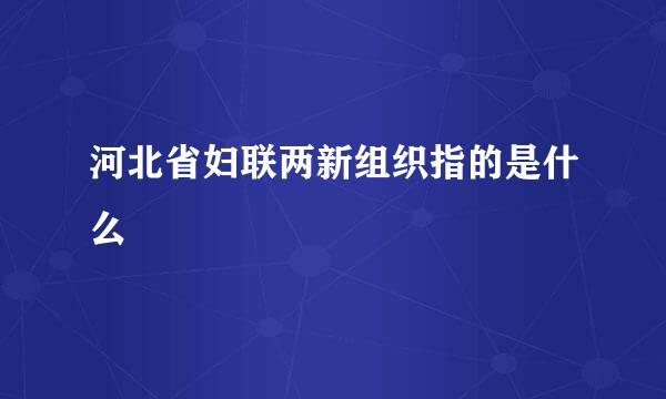 河北省妇联两新组织指的是什么