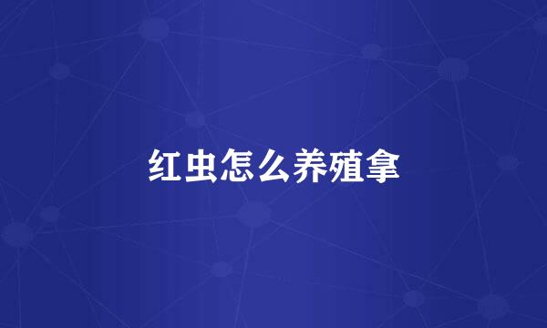 红虫怎么养殖拿