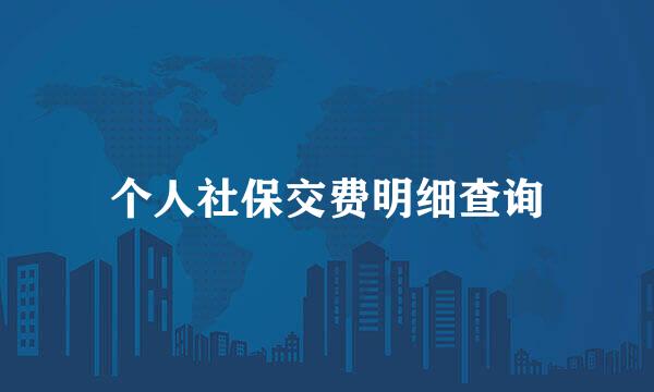 个人社保交费明细查询