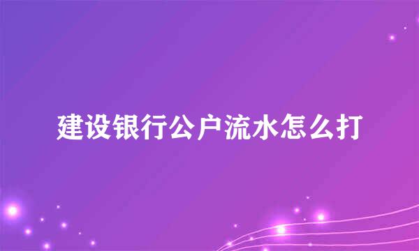 建设银行公户流水怎么打
