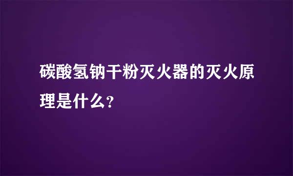 碳酸氢钠干粉灭火器的灭火原理是什么？