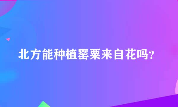 北方能种植罂粟来自花吗？