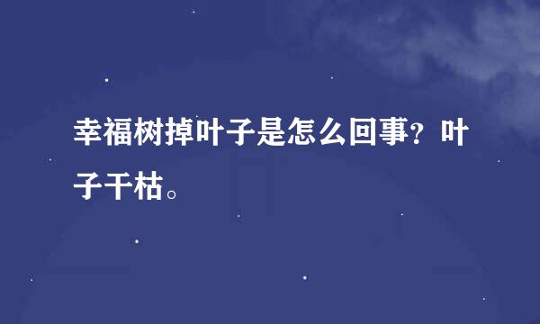 幸福树掉叶子是怎么回事？叶子干枯。