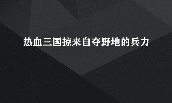 热血三国掠来自夺野地的兵力