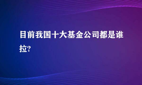 目前我国十大基金公司都是谁拉?