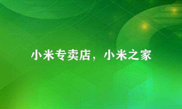 小米专卖店，小米之家