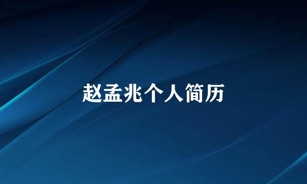 赵孟兆个人简历