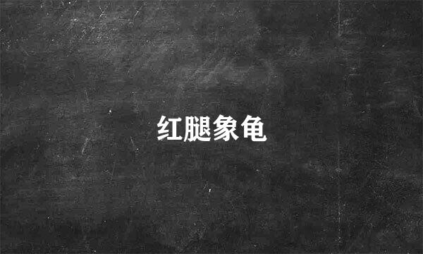 红腿象龟