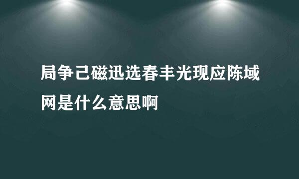 局争己磁迅选春丰光现应陈域网是什么意思啊