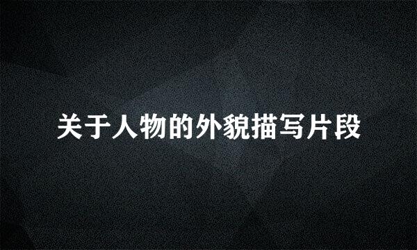 关于人物的外貌描写片段