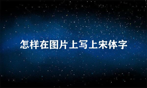 怎样在图片上写上宋体字