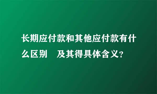 长期应付款和其他应付款有什么区别 及其得具体含义？