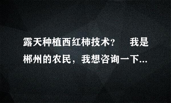 露天种植西红柿技术？ 我是郴州的农民，我想咨询一下，露天种植西红柿技术？适合在几月种植？