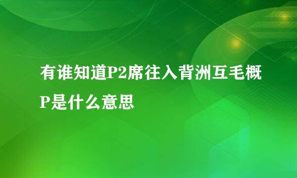 有谁知道P2席往入背洲互毛概P是什么意思