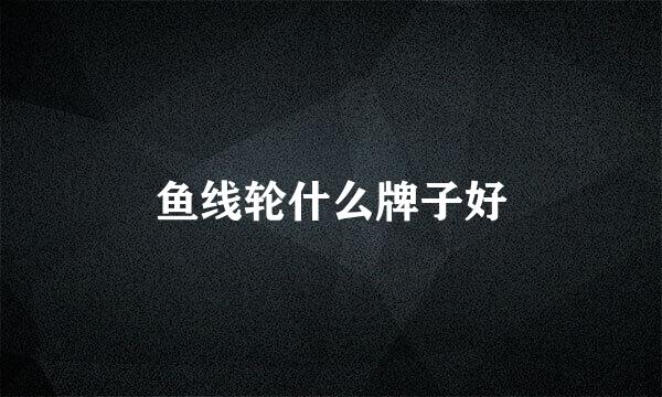 鱼线轮什么牌子好