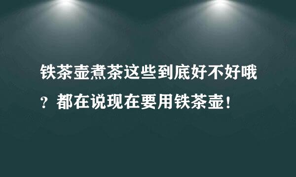 铁茶壶煮茶这些到底好不好哦？都在说现在要用铁茶壶！