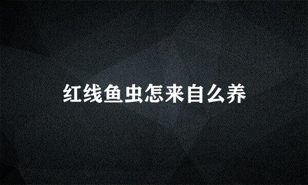 红线鱼虫怎来自么养