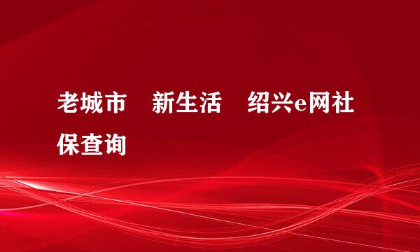 老城市 新生活 绍兴e网社保查询