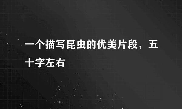 一个描写昆虫的优美片段，五十字左右