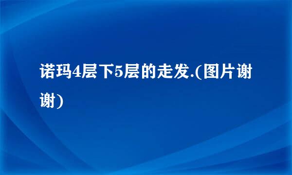 诺玛4层下5层的走发.(图片谢谢)