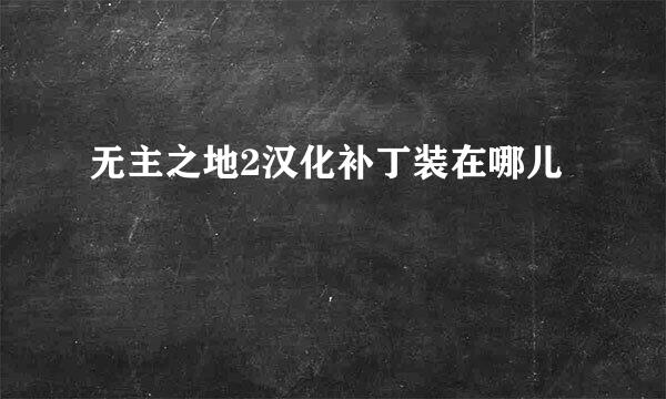 无主之地2汉化补丁装在哪儿