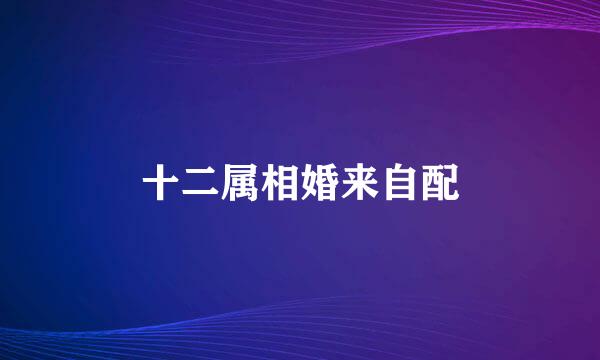 十二属相婚来自配