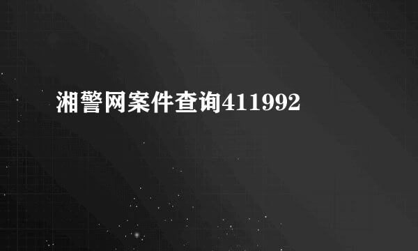 湘警网案件查询411992