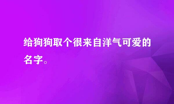 给狗狗取个很来自洋气可爱的名字。