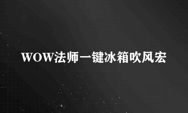 WOW法师一键冰箱吹风宏