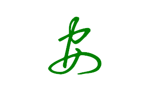 安字各种新老字体写法