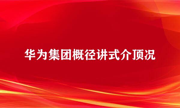 华为集团概径讲式介顶况