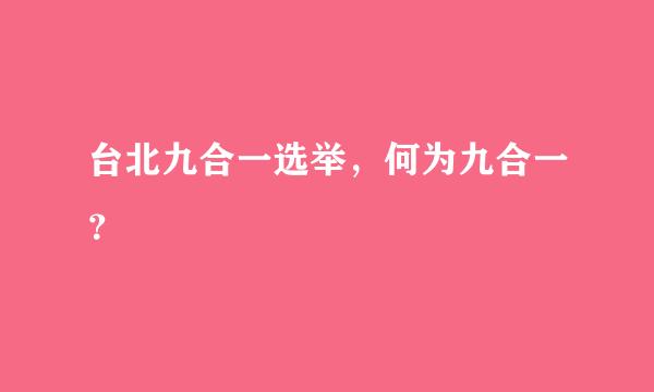 台北九合一选举，何为九合一？
