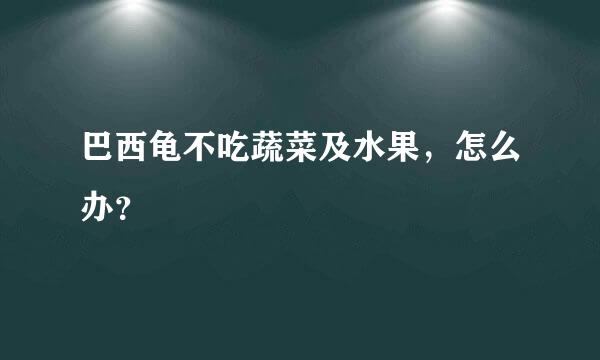 巴西龟不吃蔬菜及水果，怎么办？