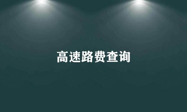 高速路费查询