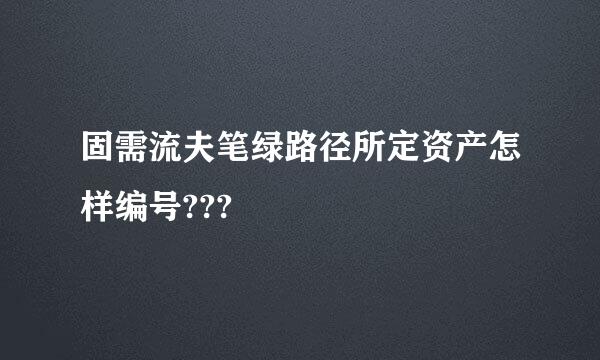 固需流夫笔绿路径所定资产怎样编号???