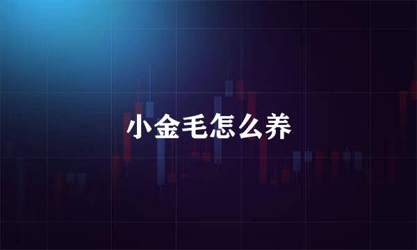 小金毛怎么养
