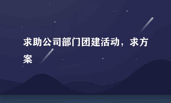 求助公司部门团建活动，求方案