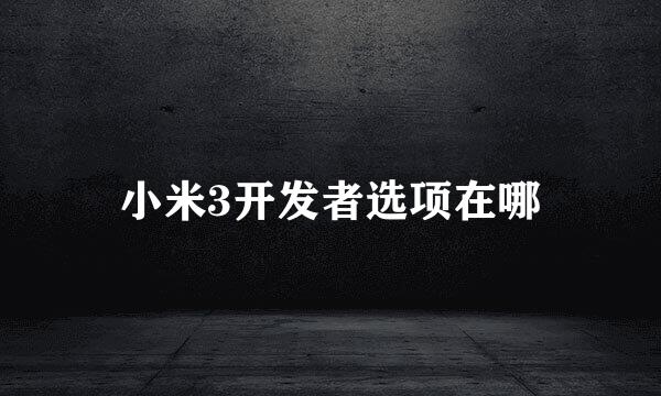 小米3开发者选项在哪