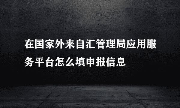 在国家外来自汇管理局应用服务平台怎么填申报信息