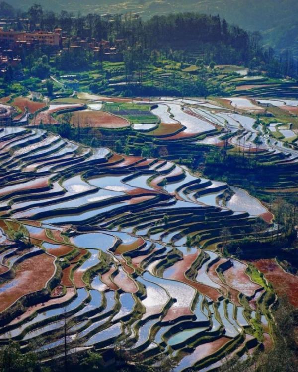 元阳梯田旅游攻略