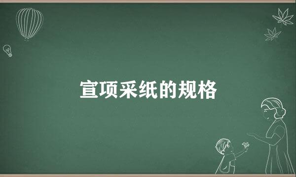 宣项采纸的规格