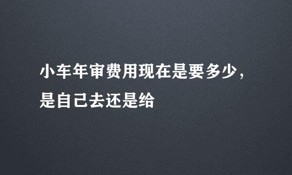 小车年审费用现在是要多少，是自己去还是给