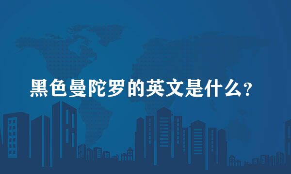 黑色曼陀罗的英文是什么？