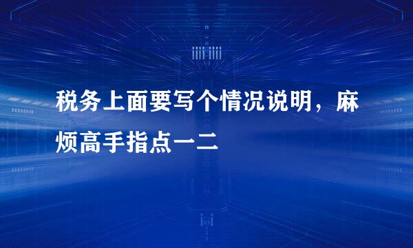 税务上面要写个情况说明，麻烦高手指点一二