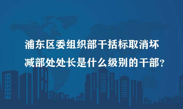 浦东区委组织部干括标取消坏减部处处长是什么级别的干部？