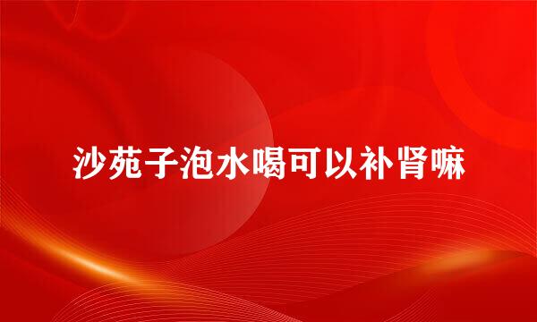 沙苑子泡水喝可以补肾嘛