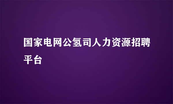 国家电网公氢司人力资源招聘平台