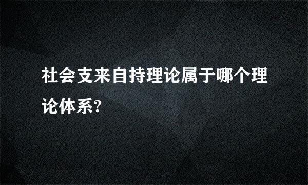 社会支来自持理论属于哪个理论体系?